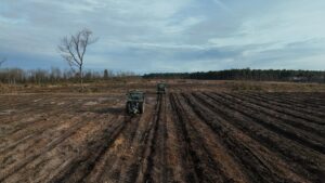 TS Boisement - Guillier Reboisement