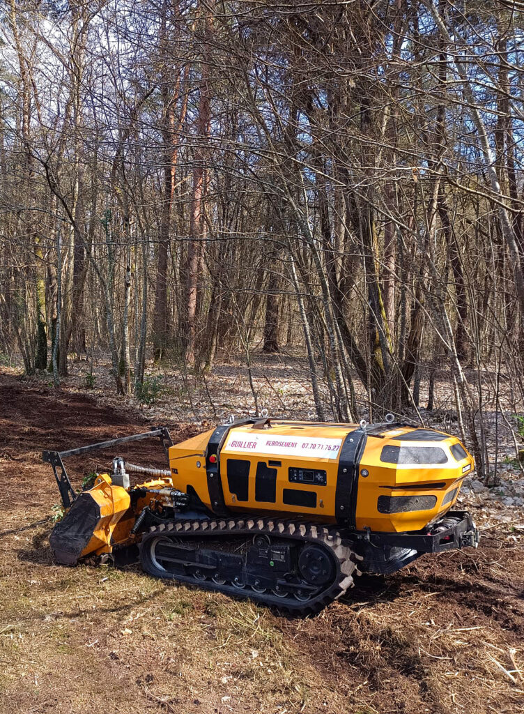 Débroussaillement - Guillier Reboisement. Robot débroussaillement allée maison proche forêt